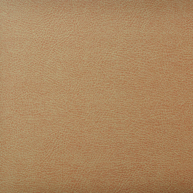 Caswell-6 by Kravet Design Designer Fabric POLYESTER - 55%;POLYURETHANE - 45% Korea, Republic of HEAVY Horizontal: 0 and Vertical: 0 54 - Swanky Fabrics -