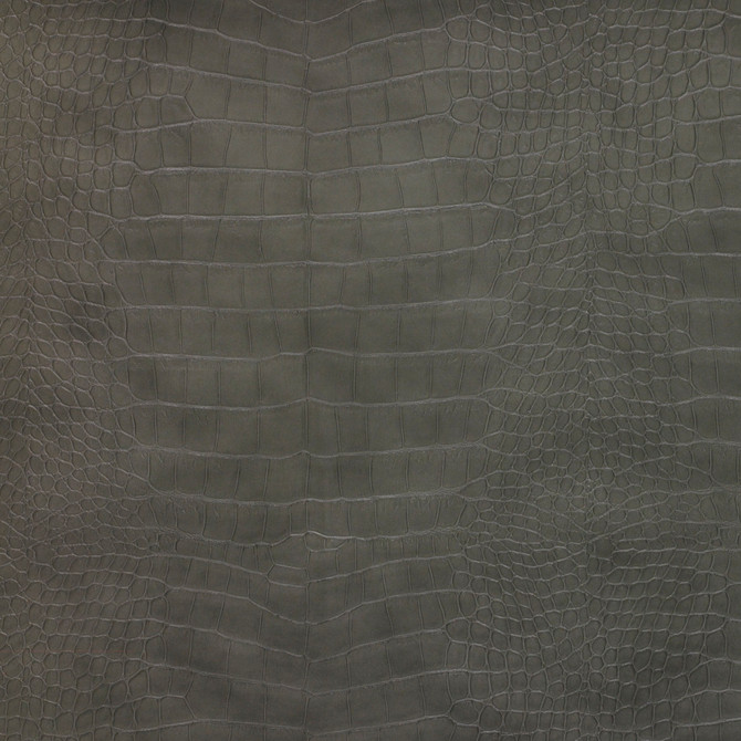 Kravet Design Ankora-21 by Kravet Design Designer Fabric