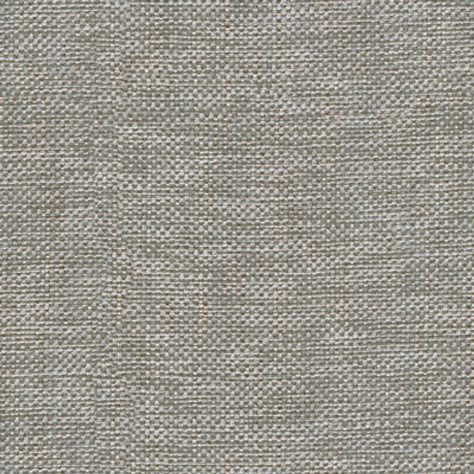 30299.11 by Kravet Basics Designer Fabric Perfect Plains Polyester 63%, Viscose 35%, Polyamide 2% China Heavy Horizontal: see sample and Vertical: see sample 55 inches - Swanky Fabrics -