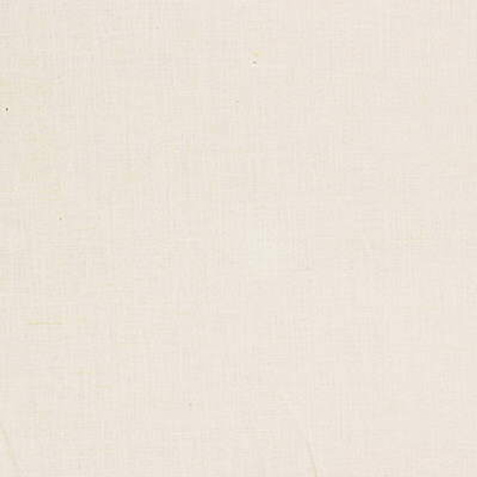 24570-1116 by Kravet Basics Designer Fabric - LINEN - 100% Russian Federation LIGHT Horizontal: 0 and Vertical: 0 55 - Swanky Fabrics -