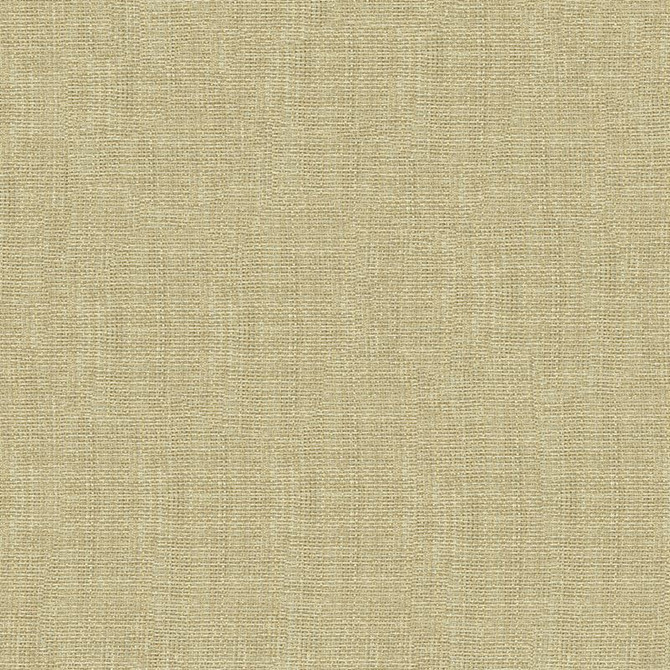 4161.1116 by Kravet Contract Designer Fabric our website for purchase Polyester 100% Turkey see sample Horizontal: see sample and Vertical: see sample 118 inches - Swanky Fabrics -