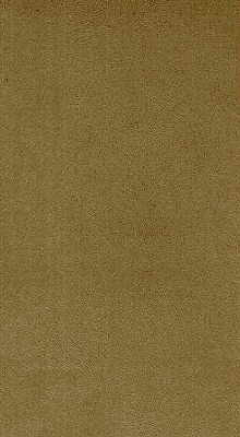 Novasuede-404 by Kravet Design Designer Fabric - NYLON - 100% Japan HEAVY Horizontal: 0 and Vertical: 0 53 - Swanky Fabrics -