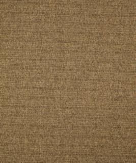Caspian 12214 M10256 by Barrow Industries Designer Fabric Casual Living/18C02 66% POLYESTER FILAMENT-TEXTURED
34% POLYESTER FILAMENT NON-TEXTURED Asia 36,000 DOUBLE RUBS Horizontal: - and Vertical: - 57" - Swanky Fabrics -