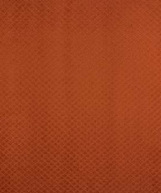 Tempo Tamale M8914 by Barrow Industries Designer Fabric Chair Pattern/1207 100% POLYESTER Asia 24,000 DOUBLE RUBS Horizontal: N/A and Vertical: N/A 57" - Swanky Fabrics -