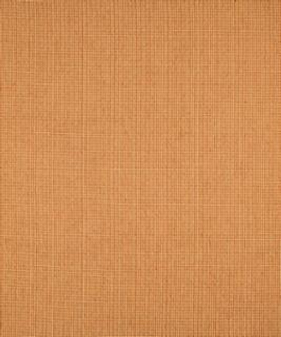 Playground 11405 M9488 by Barrow Designer Fabric 17CL10 51% POLYESTER 49% RAYON CHINA 15,000 DOUBLE RUBS </p><p>Repeat: Horizontal: N/A and Vertical: N/A 54" Minimum - Swanky Fabrics -