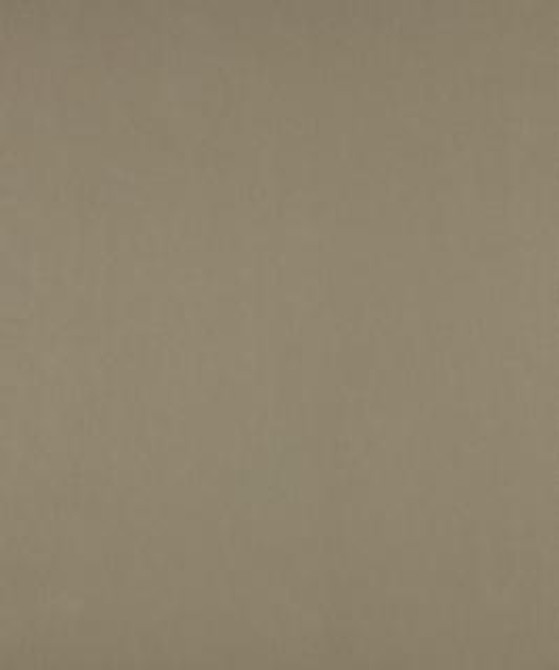 No Worries Seagull M9166 by Barrow Industries Designer Fabric Performance Fabrics/12CL06 67% POLYESTER (F)
33% POLYESTER (S) Asia 50,000 DOUBLE RUBS Horizontal: N/A and Vertical: N/A 58" - Swanky Fabrics -