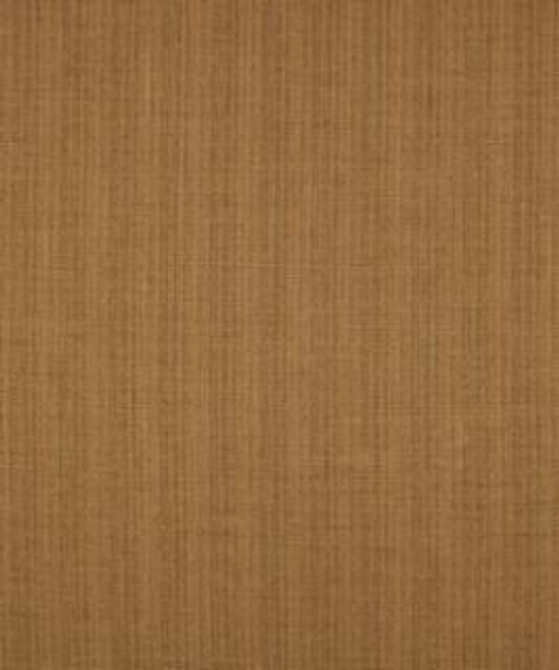 Top Of The Heap Hazelnut M9273 by Barrow Designer Fabric 12CL06 100% POLYESTER FILAMENT NON-TEXTURED CHINA 30,000 DOUBLE RUBS </p><p>Repeat: Horizontal: and Vertical: 54" Minimum - Swanky Fabrics -
