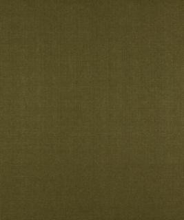 Tried And True Moss M7286 by Barrow Designer Fabric 12CL06 52% POLYESTER FILAMENT-TEXTURED
48% POLYESTER FILAMENT NON-TEXTURED CHINA 30,000 DOUBLE RUBS </p><p>Repeat: Horizontal: N/A and Vertical: N/A 54" Minimum - Swanky Fabrics -