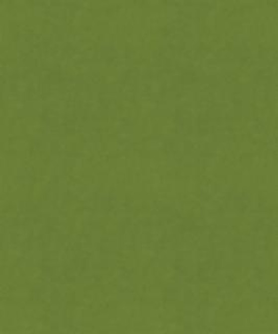 Flatbread 12103 M9989 by Barrow Industries Designer Fabric Performance Fabrics/18C09 100% POLYESTER KNIT PILE FABRIC Asia 30,000 DOUBLE RUBS Horizontal: - and Vertical: - 57" - Swanky Fabrics -