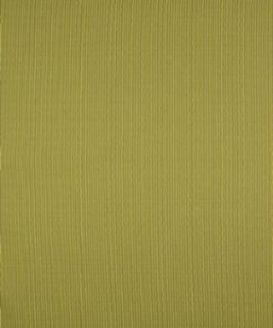 Terrapin Creek Kiwi M8926 by Barrow Designer Fabric 11C05 69% POLYESTER (F) 31% COTTON CHINA 12,000 DOUBLE RUBS </p><p>Repeat: Horizontal: N/A and Vertical: N/A 54" Minimum - Swanky Fabrics -