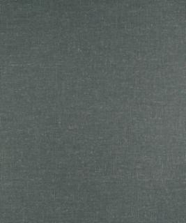 Endorse Graphite M9430 by Barrow Industries Designer Fabric Textures/Solids/15C05 86% POLYESTER (S)
14% LINEN Asia 75,000 DOUBLE RUBS Horizontal: - and Vertical: - 59" - Swanky Fabrics -