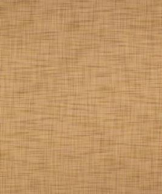 Negotiate Natural M9603 by Barrow Industries Designer Fabric Textures/Solids/15C06 65% POLYESTER (S)
35% POLYESTER (F) Asia 33,000 DOUBLE RUBS Horizontal: - and Vertical: - 58" - Swanky Fabrics -