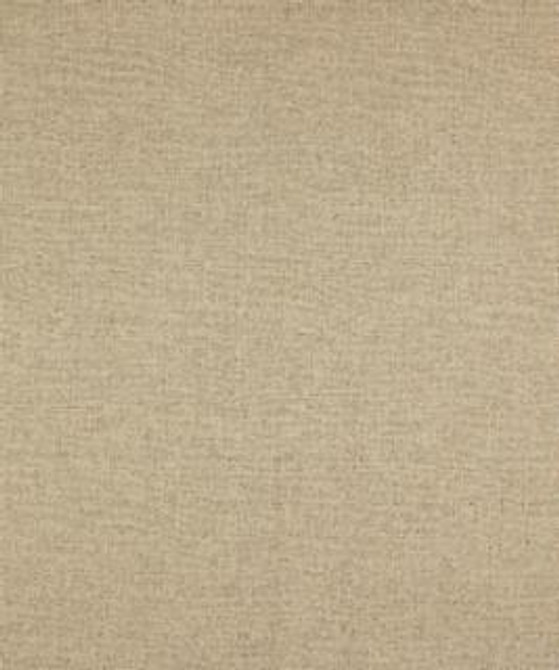 Abundant 11111 M10154 by Barrow Industries Designer Fabric Textures/Solids/17C04 76% POLYESTER
24% COTTON Asia 15,000 DOUBLE RUBS Horizontal: - and Vertical: - 57" - Swanky Fabrics -