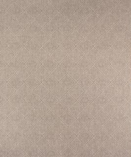 Kensal 31103 M9962 by Barrow Industries Designer Fabric Textures/Solids/18C04 65% POLYESTER (F)
35% POLYESTER (S) Asia 75,000 DOUBLE RUBS Horizontal: - and Vertical: - 56" - Swanky Fabrics -