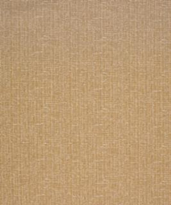 Philander 21303 M10542 by Barrow Industries Designer Fabric Textures/Solids/18C10 55% POLYESTER (F)
42% POLYESTER (S)
3% ACRYLIC (F) Asia 36,000 DOUBLE RUBS Horizontal: - and Vertical: - 58" - Swanky Fabrics -