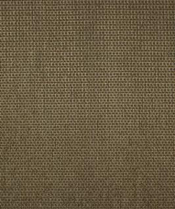 Jennifer Grotto M8143 by Barrow Designer Fabric 2813 61% RAYON
35% POLYESTER
4% COTTON CHINA 18,000 DOUBLE RUBS </p><p>Repeat: Horizontal: N/A and Vertical: N/A 54" Minimum - Swanky Fabrics -