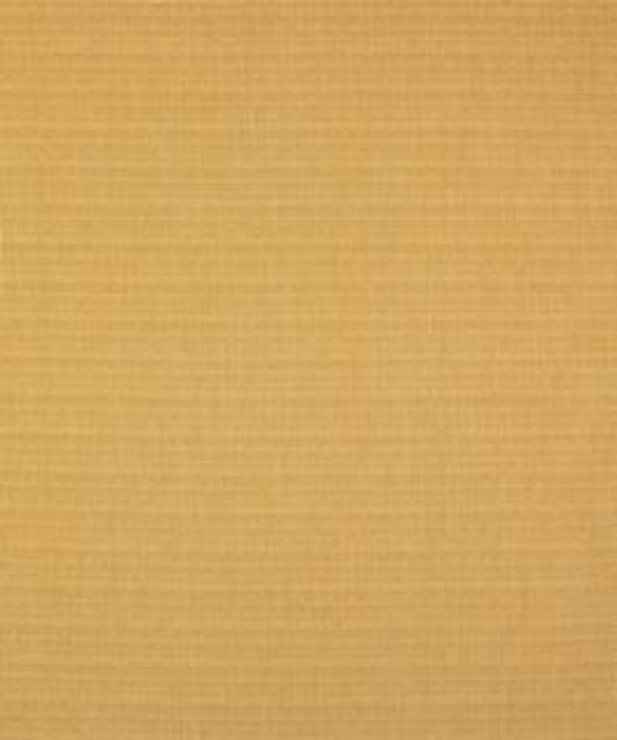 Perez Plantain M9062 by Barrow Industries Designer Fabric Transitional/1413 100% POLYESTER Asia 15,000 DOUBLE RUBS Horizontal: N/A and Vertical: N/A 58" - Swanky Fabrics -