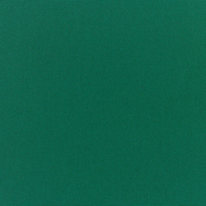 5446 Canvas Forest Green by Sunbrella Designer Fabric Sunbrella Elements - Canvas Sunbrella® Acrylic, Sunbrella® Polyester, Sunbrella® Non-Phthalate PVC USA or Imported 5-Year Horizontal: and Vertical: 60 yd. 54 in. - Swanky Fabrics -