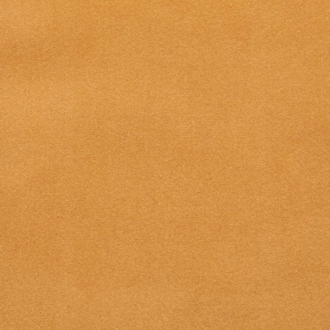 ANASTASIA 14J7561 by JF Designer Fabric WINNING WINDOWS VERMONT 100% Polyester CHINA ABRASIO (HEAVY DUTY- 30,000+ DOUBLE RUBS) Horizontal: N/A and Vertical: N/A 57.00 - Swanky Fabrics -