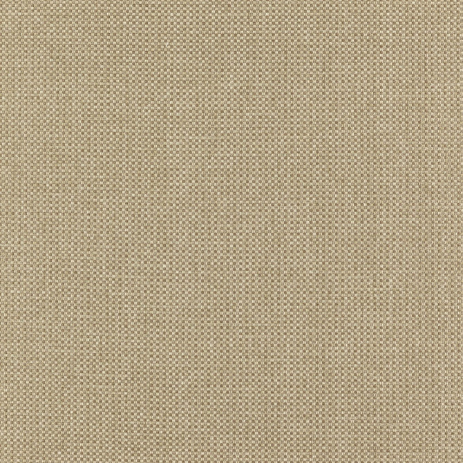 Chief 72J7351 by JF Designer Fabric Winning Weaves VI - Woven Book 90% Polyester, 10% Viscose India 120000 Horizontal: and Vertical: 57 - Swanky Fabrics -