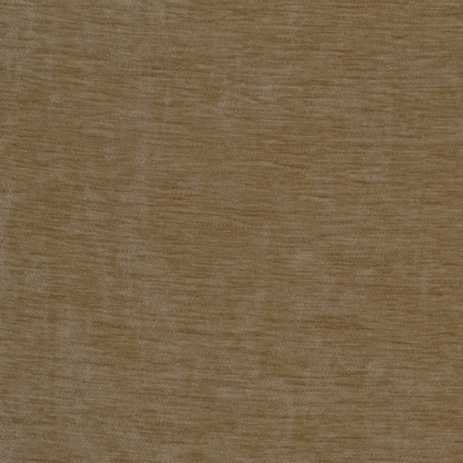 COCO 72J4921 by JF Designer Fabric COCO 100% Polyester INDIA ABRASIO (HEAVY DUTY- 30,000+ DOUBLE RUBS) Horizontal: N/A and Vertical: N/A 54.00 - Swanky Fabrics -