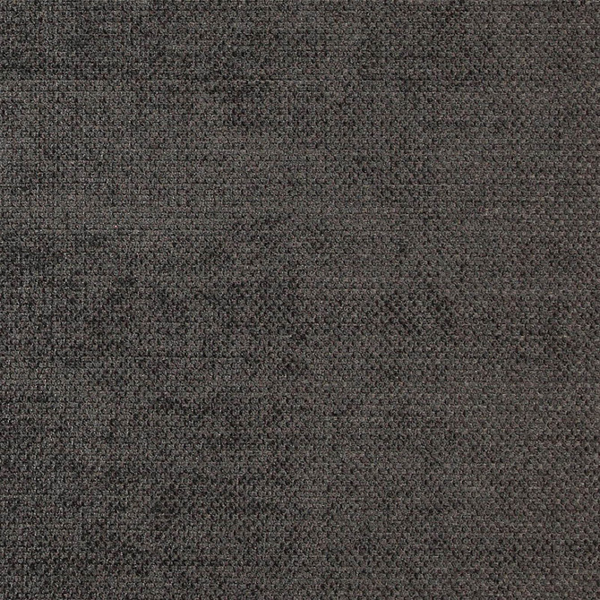 COMBAT 38J7081 by JF Designer Fabric Winning Weaves V Book 100% Polyester India  Horizontal:  and Vertical:  55  - Swanky Fabrics -