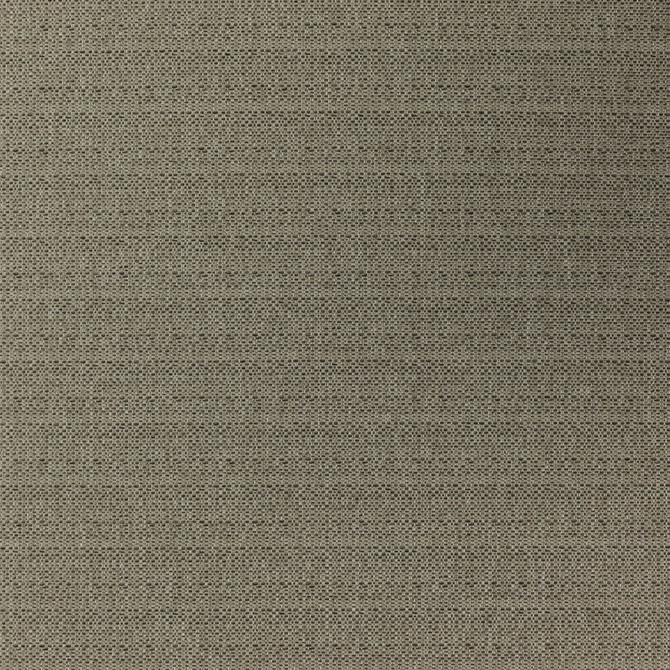 Commander 35J7351 by JF Designer Fabric Winning Weaves VI - Woven Book 100% Polyester India 40000 Horizontal: and Vertical: 57 - Swanky Fabrics -