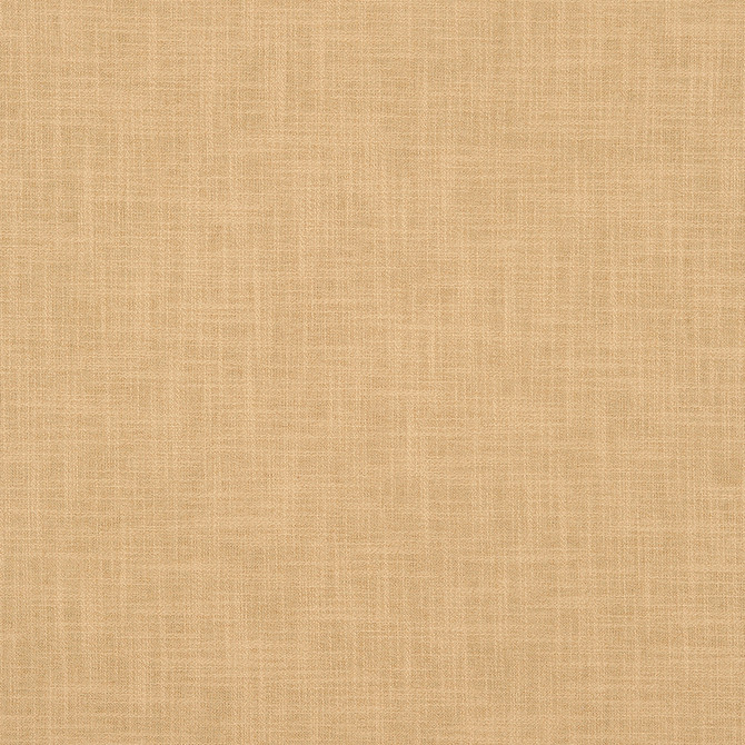 DARJEELING 33J7141 by JF Designer Fabric Darjeeling Book 79% Cotton, 21% Polyester India  Horizontal:  and Vertical:  55  - Swanky Fabrics -