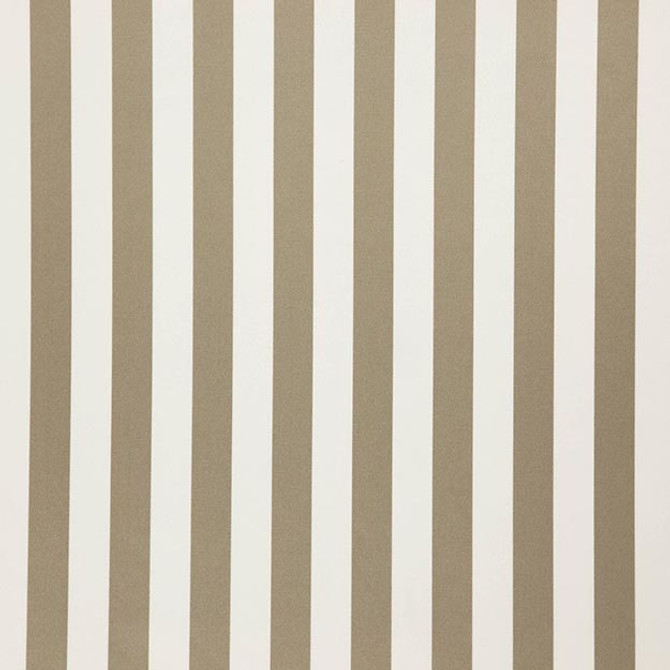 FALSETTO 34J7611 by JF Designer Fabric LE CIRQUE 59% Cotton, 41% Polyester INDIA ABRASIO (HEAVY DUTY- 30,000+ DOUBLE RUBS) Horizontal: 2.000 and Vertical: N/A 55.00 - Swanky Fabrics -