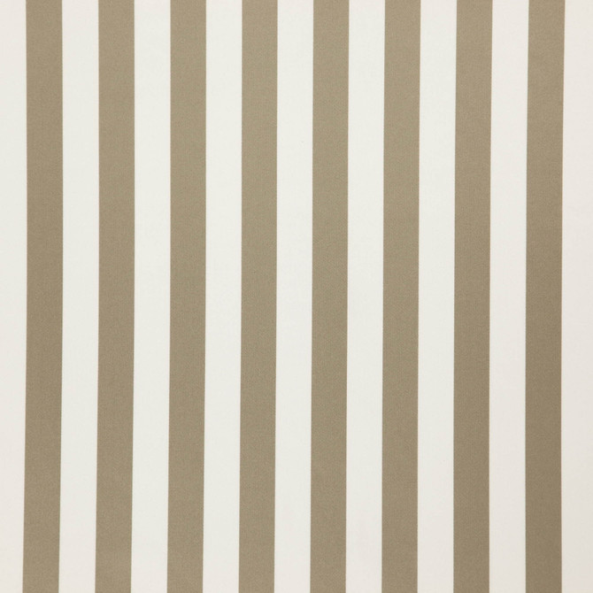 Falsetto 34J7611 by JF Designer Fabric Le Cirque Book 59% Cotton, 41% Polyester India 50000 Horizontal: 2 and Vertical: 55 - Swanky Fabrics -