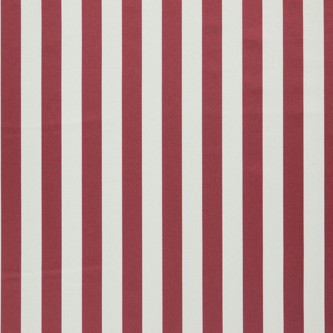 Falsetto 48J7611 by JF Designer Fabric Le Cirque Book 59% Cotton, 41% Polyester India 50000 Horizontal: 2 and Vertical: 55 - Swanky Fabrics -