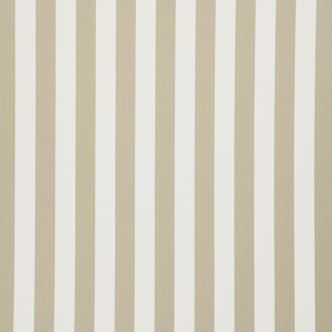 Falsetto 71J7611 by JF Designer Fabric Le Cirque Book 59% Cotton, 41% Polyester India 50000 Horizontal: 2 and Vertical: 55 - Swanky Fabrics -