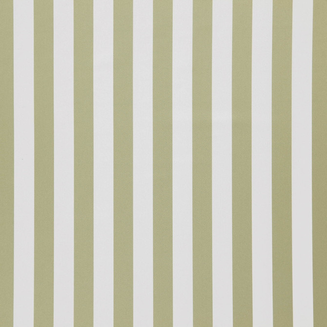 FALSETTO 75J7611 by JF Designer Fabric Le Cirque Book 59% Cotton, 41% Polyester India  Horizontal: 2 and Vertical:  55  - Swanky Fabrics -