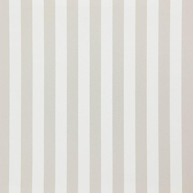 FALSETTO 94J7611 by JF Designer Fabric LE CIRQUE 59% Cotton, 41% Polyester INDIA ABRASIO (HEAVY DUTY- 30,000+ DOUBLE RUBS) Horizontal: 2.000 and Vertical: N/A 55.00 - Swanky Fabrics -