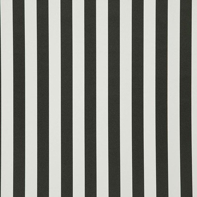 FALSETTO 97J7611 by JF Designer Fabric LE CIRQUE 59% Cotton, 41% Polyester INDIA ABRASIO (HEAVY DUTY- 30,000+ DOUBLE RUBS) Horizontal: 2.000 and Vertical: N/A 55.00 - Swanky Fabrics -