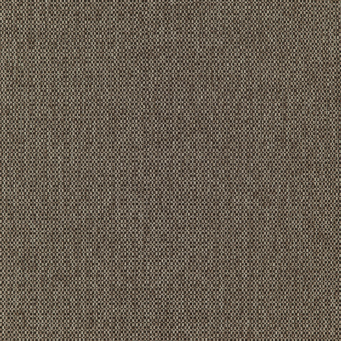 Fierce 38J7391 by JF Designer Fabric Winning Weaves VII- Wovens - Faux Suede Book 100% Polyester China 42000 Horizontal: and Vertical: 58 - Swanky Fabrics -