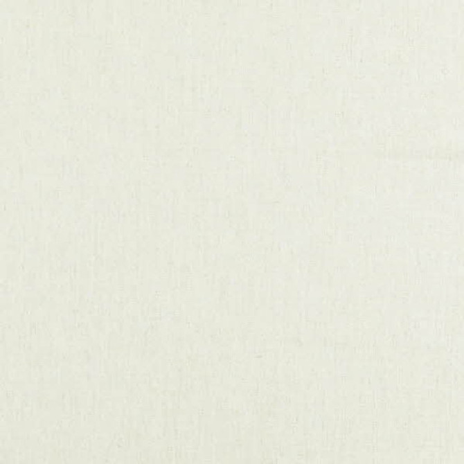 HOLLY 31J7071 by JF Designer Fabric NATURAL BEAUTY 43% Viscose, 35% Linen, 22% Cotton INDIA ABRASIO (GEERAL - 15,000-30,000, DOUBLE RUBS) Horizontal: N/A and Vertical: N/A 55.00 - Swanky Fabrics -