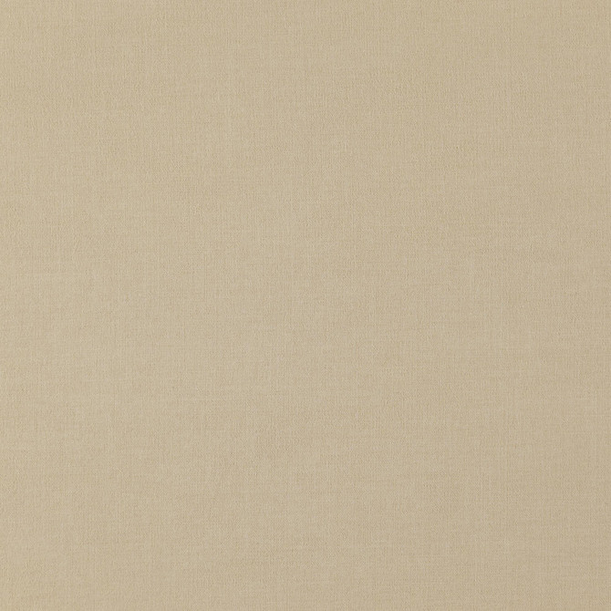 NORTH 31J7881 by JF Designer Fabric  100% Polyester China  Horizontal:  and Vertical:  56  - Swanky Fabrics -