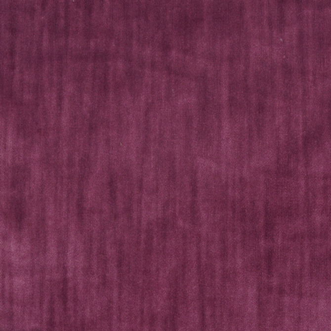 PHANTOM 44J5541 by JF Designer Fabric PHANTOM 100% Polyester BELGIUM ABRASIO (HEAVY DUTY- 30,000+ DOUBLE RUBS) Horizontal: N/A and Vertical: N/A 55.00 - Swanky Fabrics -
