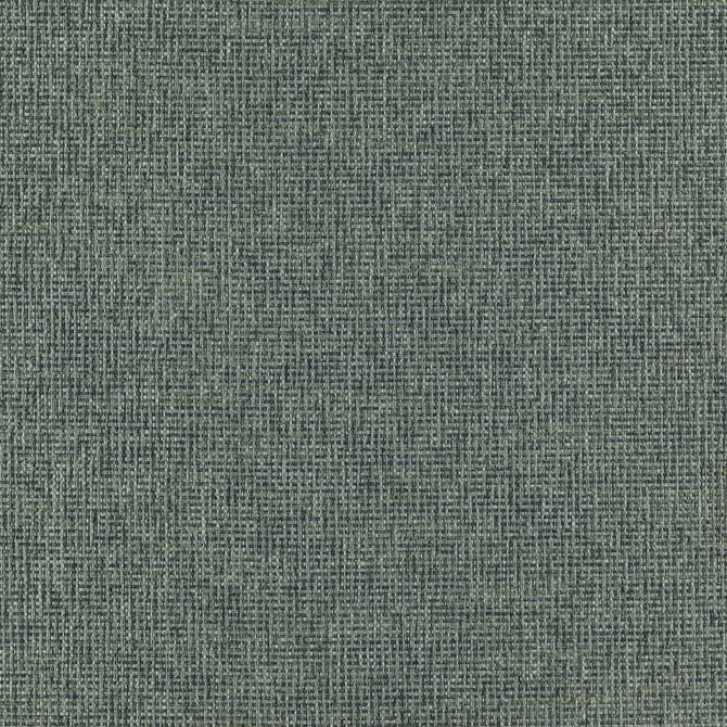 Ranger 66J7351 by JF Designer Fabric Winning Weaves VI - Woven Book 90% Polyester, 10% Viscose India 45000 Horizontal: and Vertical: 57 - Swanky Fabrics -