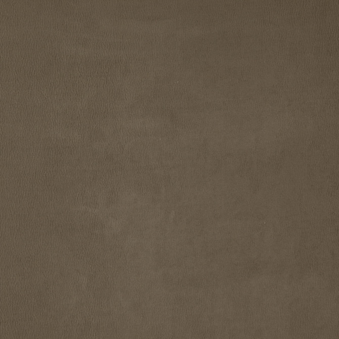 Wisdom 35J7531 by JF Designer Fabric Tannery Basics II Book 100% Polyester China 30000 Horizontal: and Vertical: 55 - Swanky Fabrics -