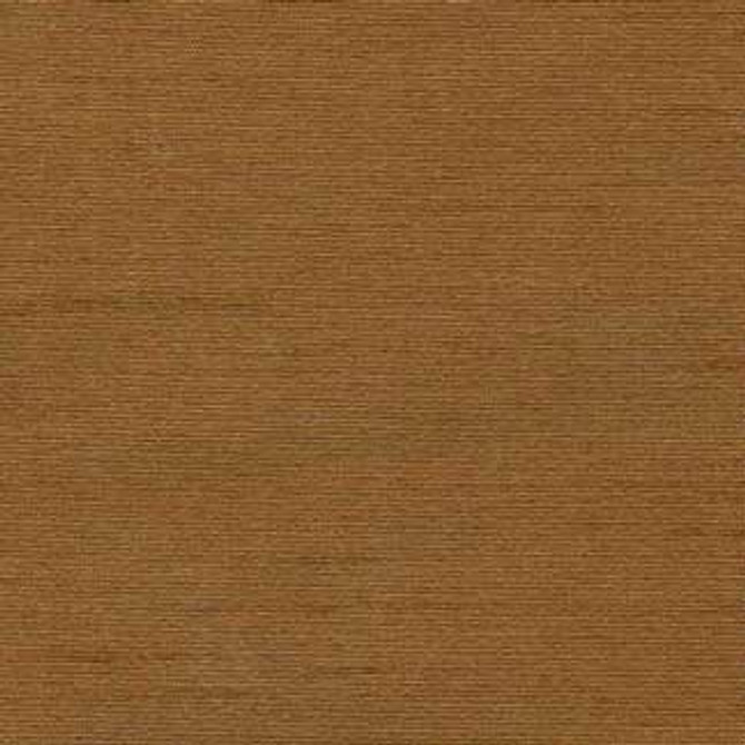 Succulent Sienna by Carole Designer Fabric Succulent 100% POLYESTER INDIA NONE 54" - Swanky Fabrics -