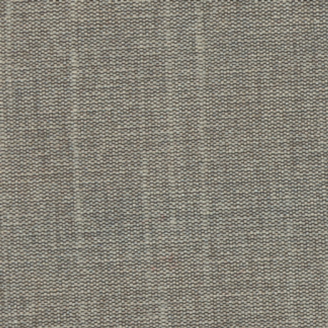 Succulent Fog by Carole Designer Fabric Succulent II 100% Polyester India N/A Horizontal: None and Vertical: None 54" - Swanky Fabrics -