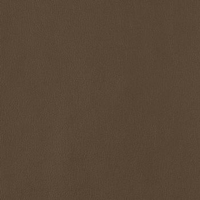 Legacy Chocolate LY-609 by Burch Designer Fabric our website for purchase 100% Polyurethane USA or Asia Water-based cleaning agents and foam may be used for cleaning. This fabric may also be cleaned with mild, water-free solvents. Cleaning by a professional cleaning service is recommended. Horizontal: - and Vertical: - 54" - Swanky Fabrics -