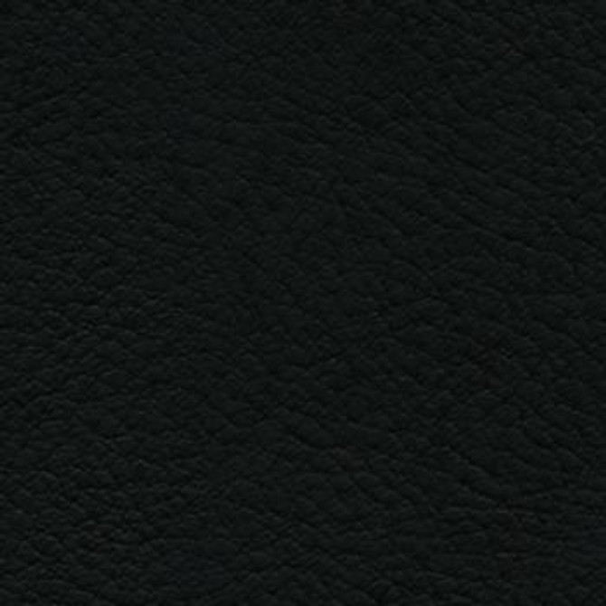 Verve Raven EVE-026 by Burch Designer Fabric our website for purchase 100% Polyurethane USA or Asia Water-based cleaning agents and foam may be used for cleaning. This fabric may also be cleaned with mild, water-free solvents. Cleaning by a professional cleaning service is recommended. Horizontal: - and Vertical: - 54" - Swanky Fabrics -