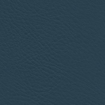 Verve Baltic EVE-005 by Burch Designer Fabric our website for purchase 100% Polyurethane USA or Asia Water-based cleaning agents and foam may be used for cleaning. This fabric may also be cleaned with mild, water-free solvents. Cleaning by a professional cleaning service is recommended. Horizontal: - and Vertical: - 54" - Swanky Fabrics -