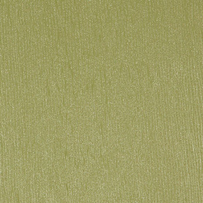 Capote Thyme WCP-015 by Nassimi Designer Fabric See sample 100% Polyurethane USA or Imported Water-based cleaning agents and foam may be used for cleaning. Cleaning by a professional cleaning service is recommended.  54  - Swanky Fabrics -