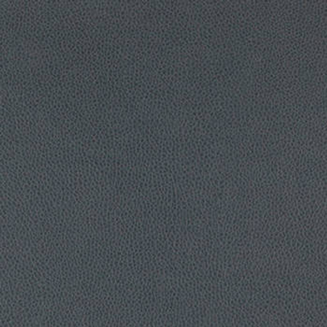 Tolstoy Asphalt WTL-002 by Nassimi Designer Fabric See sample 100% Polyurethane USA or Imported Water-based cleaning agents and foam may be used for cleaning. Cleaning by a professional cleaning service is recommended.  54  - Swanky Fabrics -