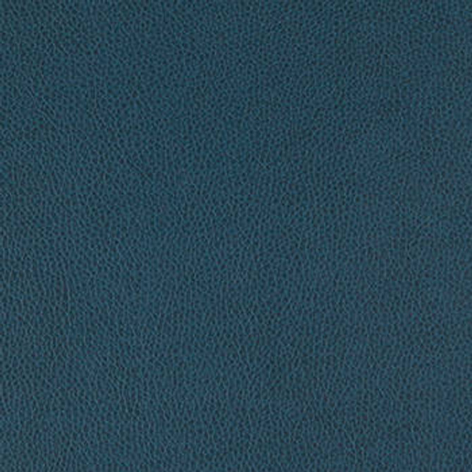 Tolstoy Harbor by Nassimi Designer Fabric See sample 100% Polyurethane  250000 Horizontal: Not Applicable and Vertical: Not Applicable 54"  - Swanky Fabrics -