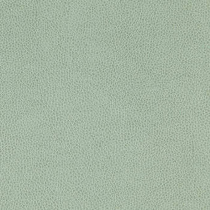 Tolstoy Vista WTL-017 by Nassimi Designer Fabric See sample 100% Polyurethane USA or Imported Water-based cleaning agents and foam may be used for cleaning. Cleaning by a professional cleaning service is recommended.  54  - Swanky Fabrics -
